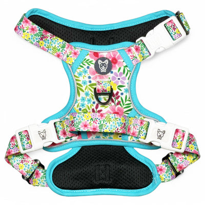 Floral No Pull Dog Harness - Beast & Buckle