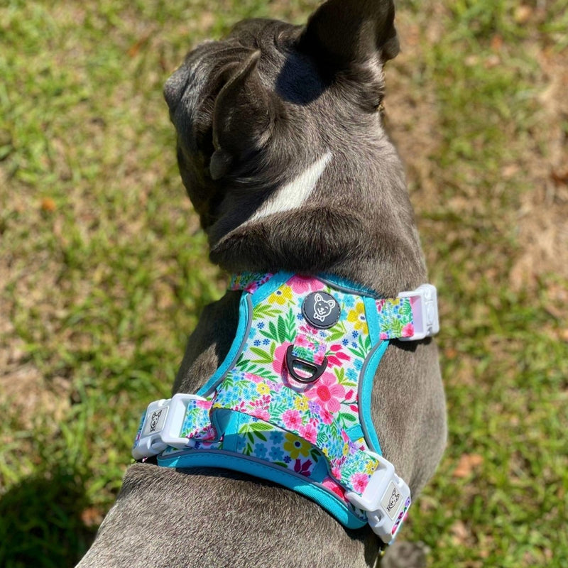 Floral No Pull Dog Harness - Beast & Buckle