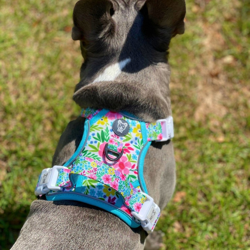 Floral No Pull Dog Harness - Beast & Buckle