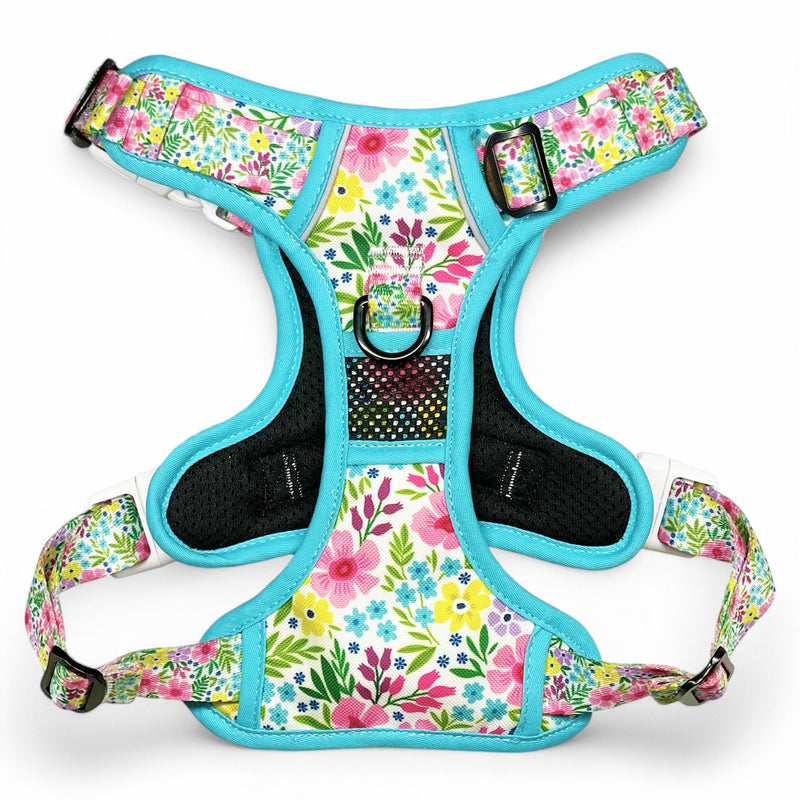 Floral No Pull Harness Bundle - Beast & Buckle