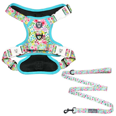 Floral No Pull Harness Bundle - Beast & Buckle