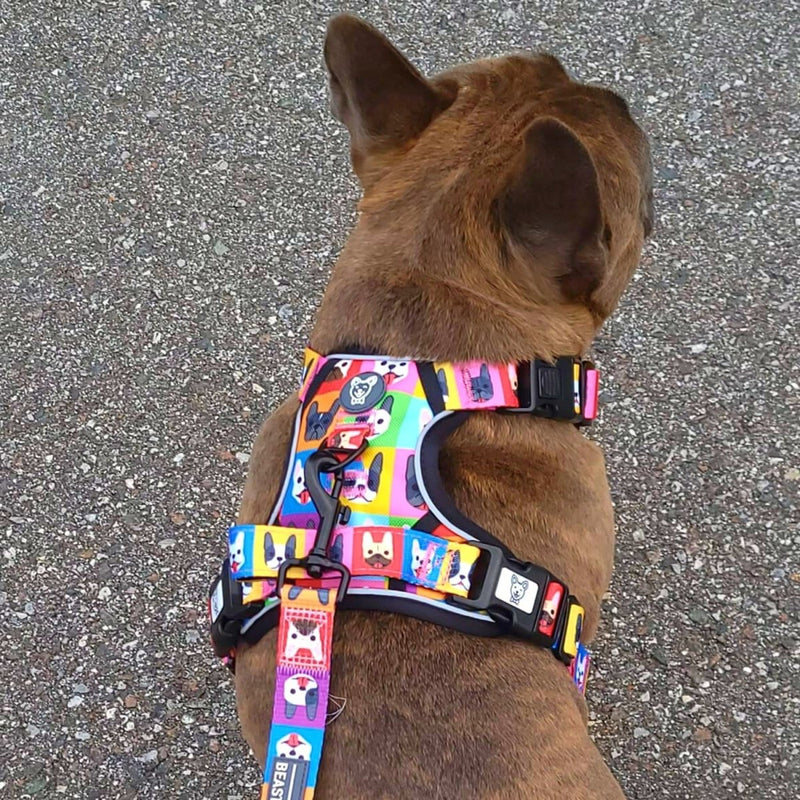 Frenchie Fam No Pull Dog Harness - Beast & Buckle