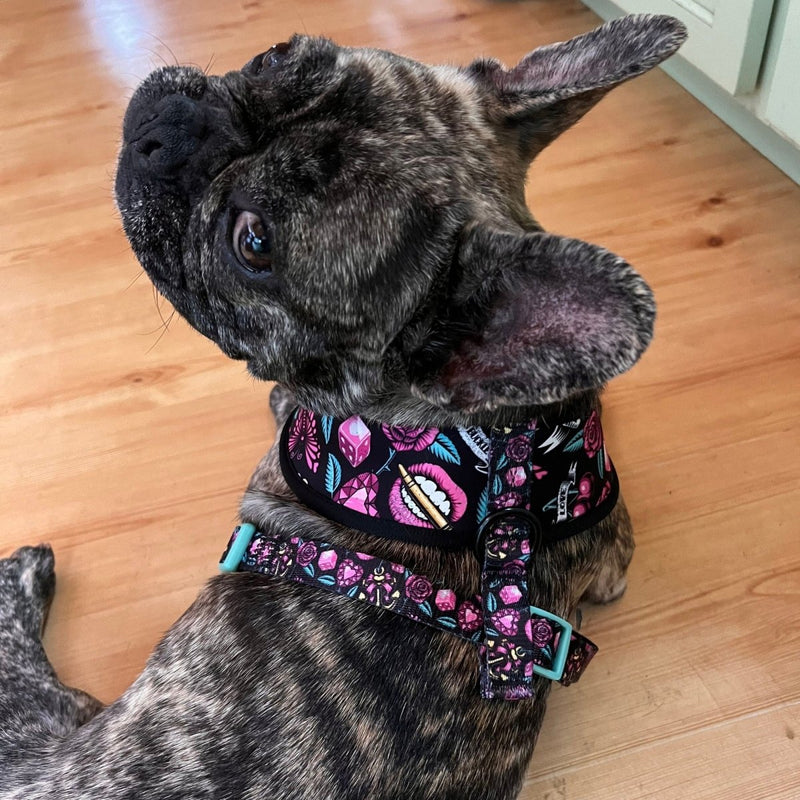 Girly Tattoo Reversible Dog Harness 2.0 - Beast & Buckle