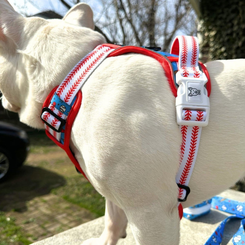 Home Run No Pull Dog Harness - Beast & Buckle