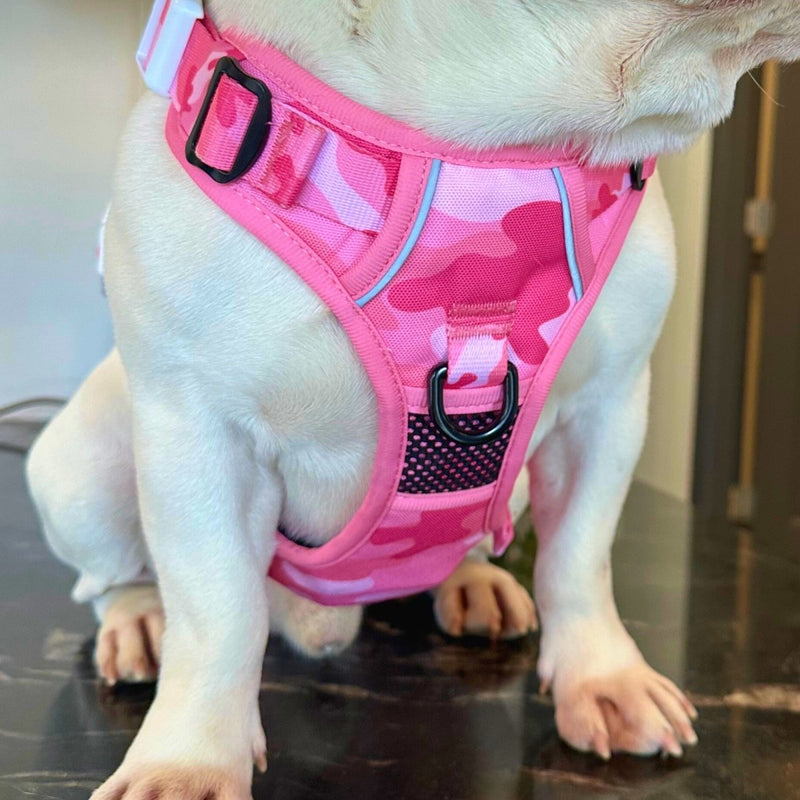 Pink Camo No Pull Dog Harness - Beast & Buckle
