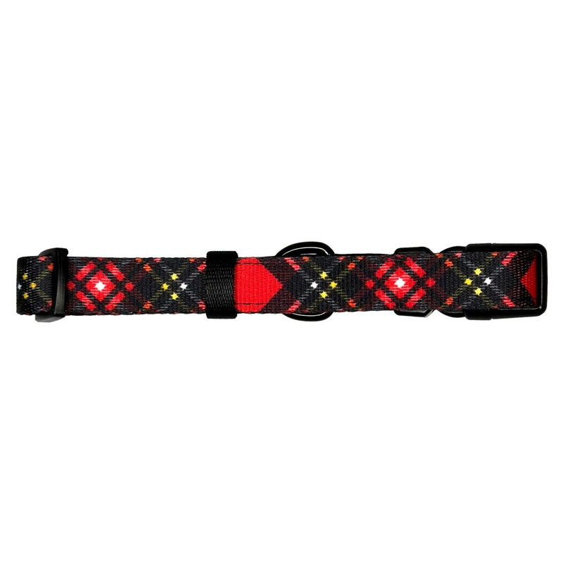 Red &