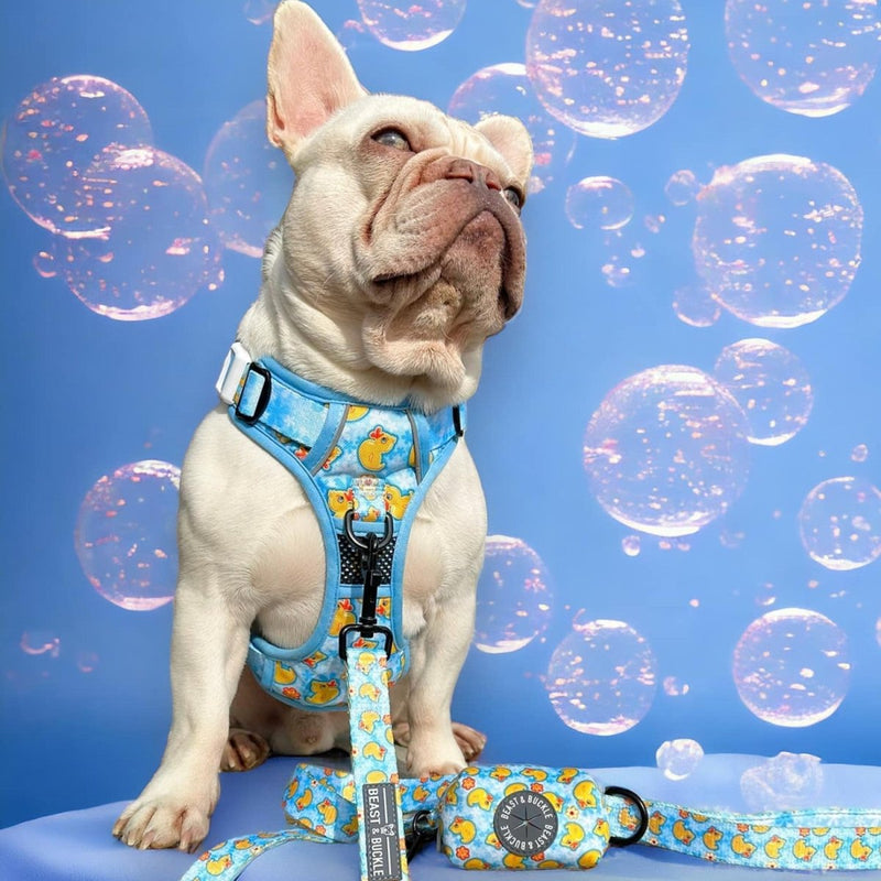 Rubber Ducky No Pull Dog Harness - Beast & Buckle