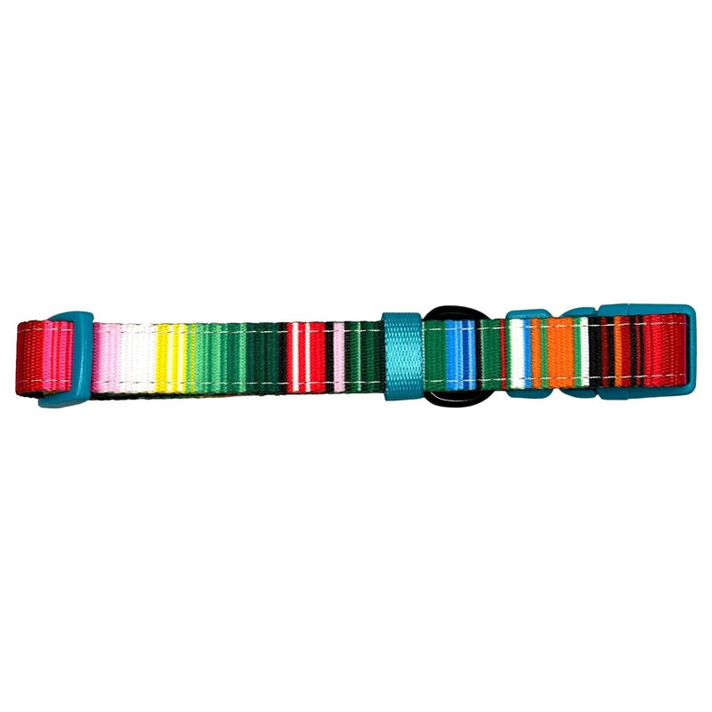 Serape Dog Collar - Beast & Buckle