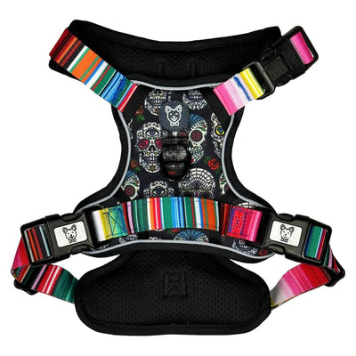 Sugar Skulls No Pull Dog Harness - Beast & Buckle