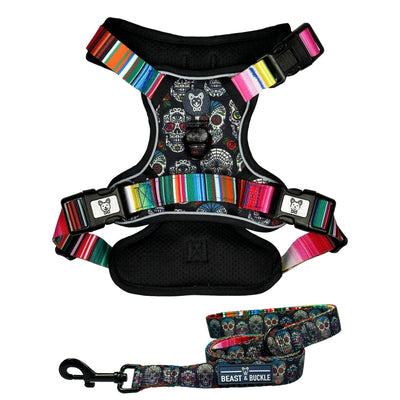 Sugar Skulls No Pull Harness Bundle - Beast & Buckle