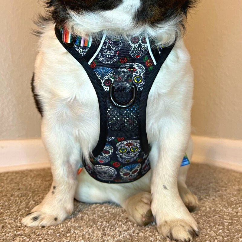 Sugar Skulls No Pull Harness Bundle - Beast & Buckle