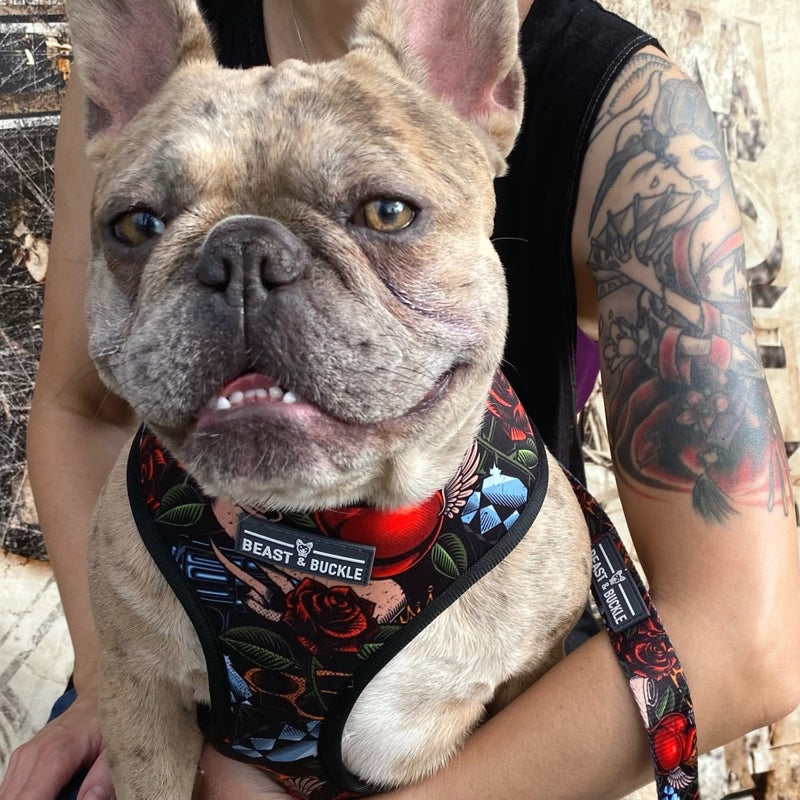 Tattoo Walking Bundle - Beast & Buckle