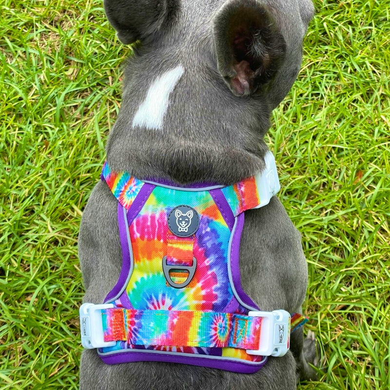 Tie Dye No Pull Dog Harness - Beast & Buckle