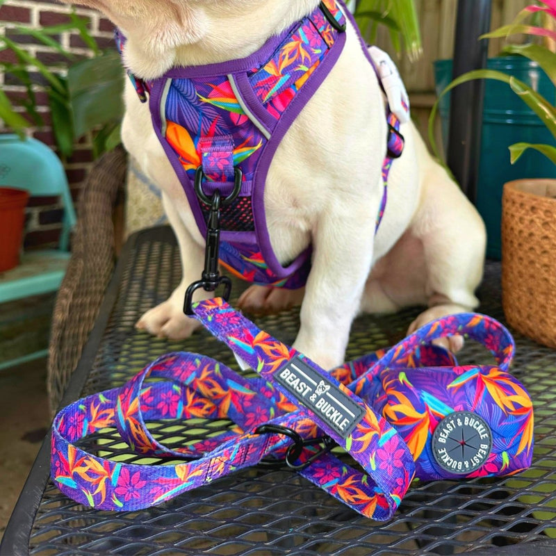 Tropical No Pull Dog Harness - Beast & Buckle