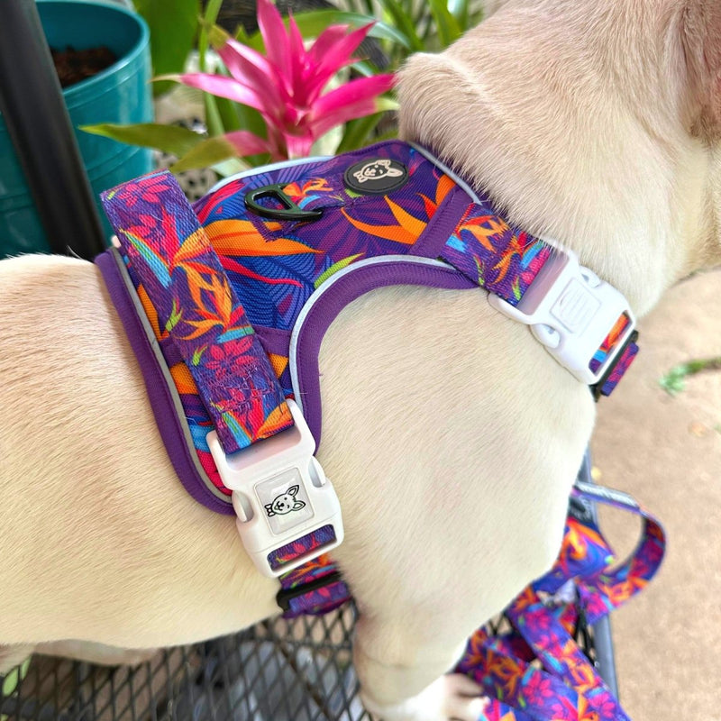Tropical No Pull Dog Harness - Beast & Buckle