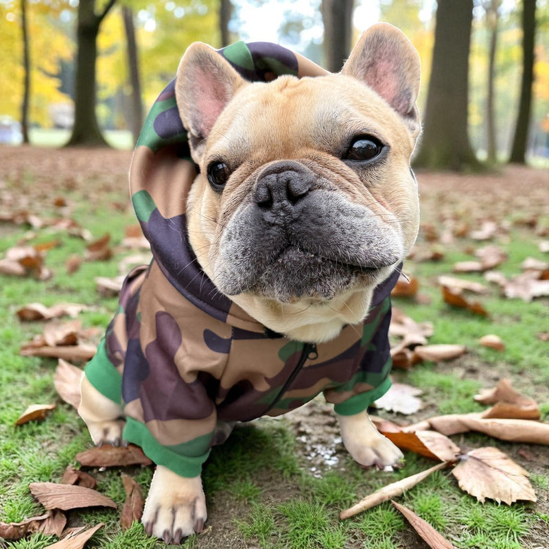 Camo Hoodie for Small Dogs