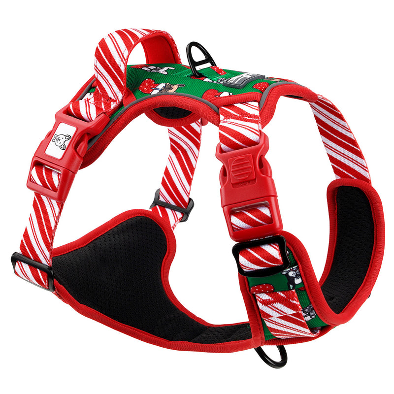Festive Frenchies No Pull Harness & Leash Bundle