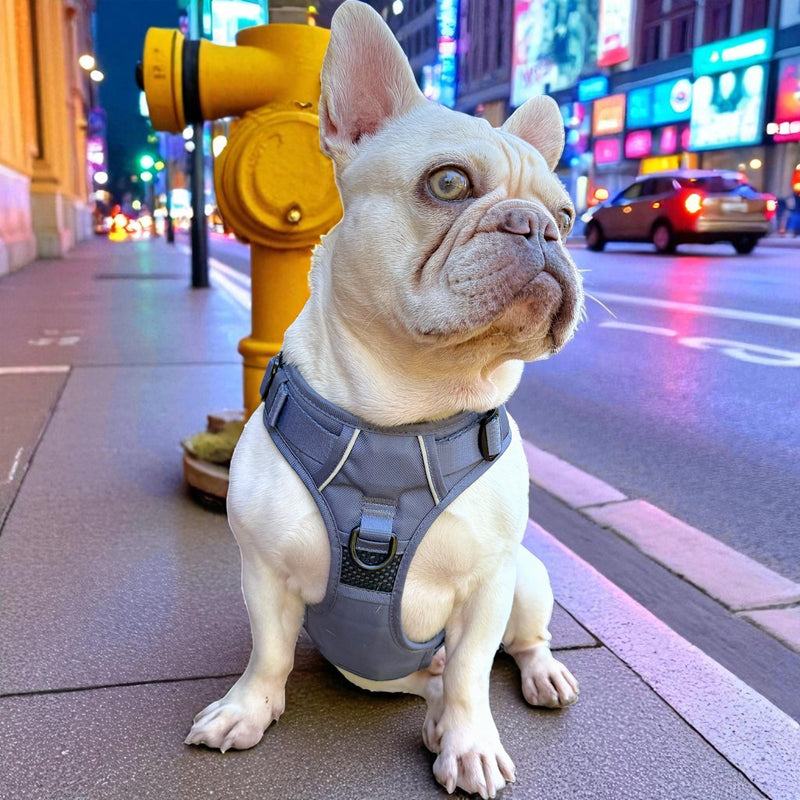 Gray No Pull Dog Harness