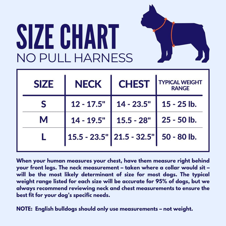 Midnight Garden No Pull Dog Harness – Beast & Buckle