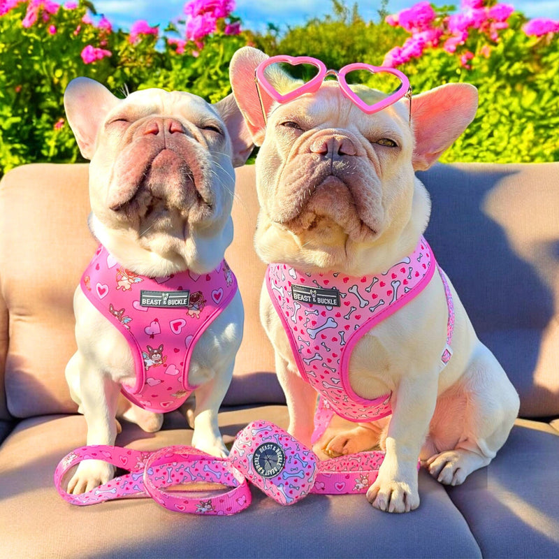 Puppy Love Reversible Dog Harness 2.0