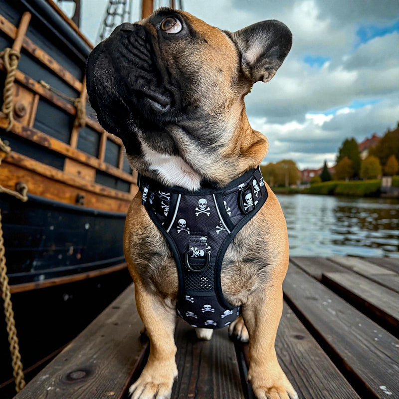 Skull & Crossbones No Pull Dog Harness