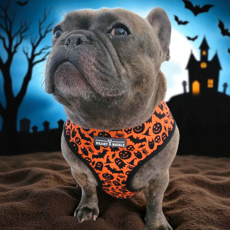 Spooky Harness and Leash Set
