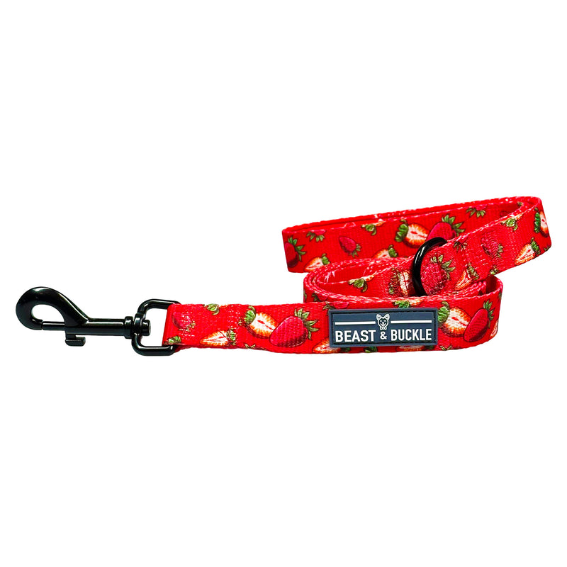 Strawberry Dog Leash