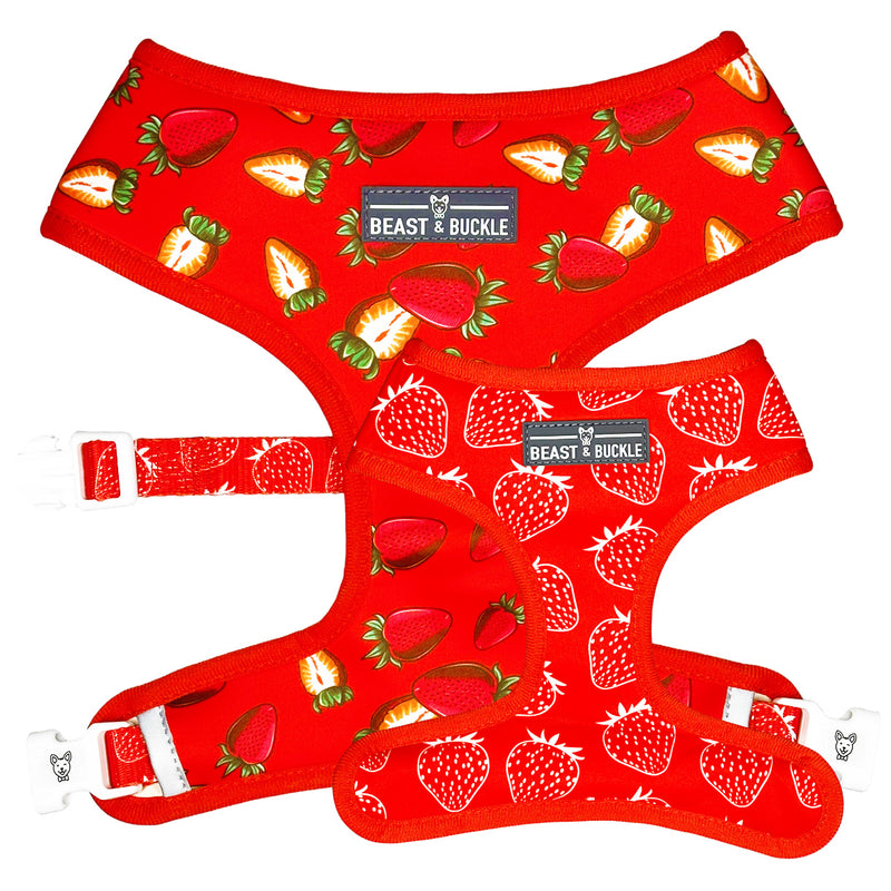 Strawberry Reversible Dog Harness - CLEARANCE