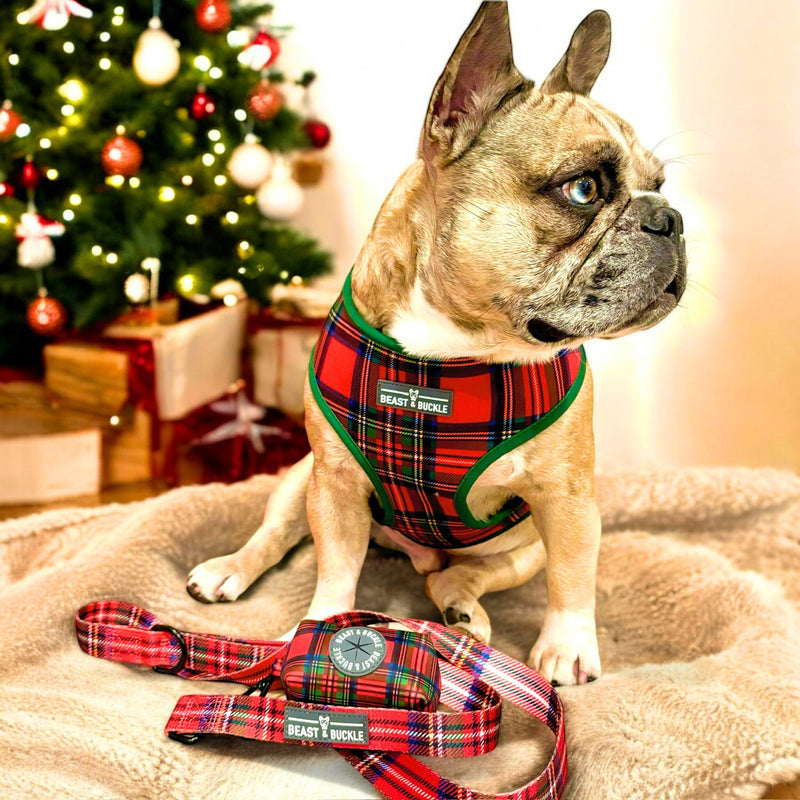 Tartan Plaid Reversible Dog Harness 2.0