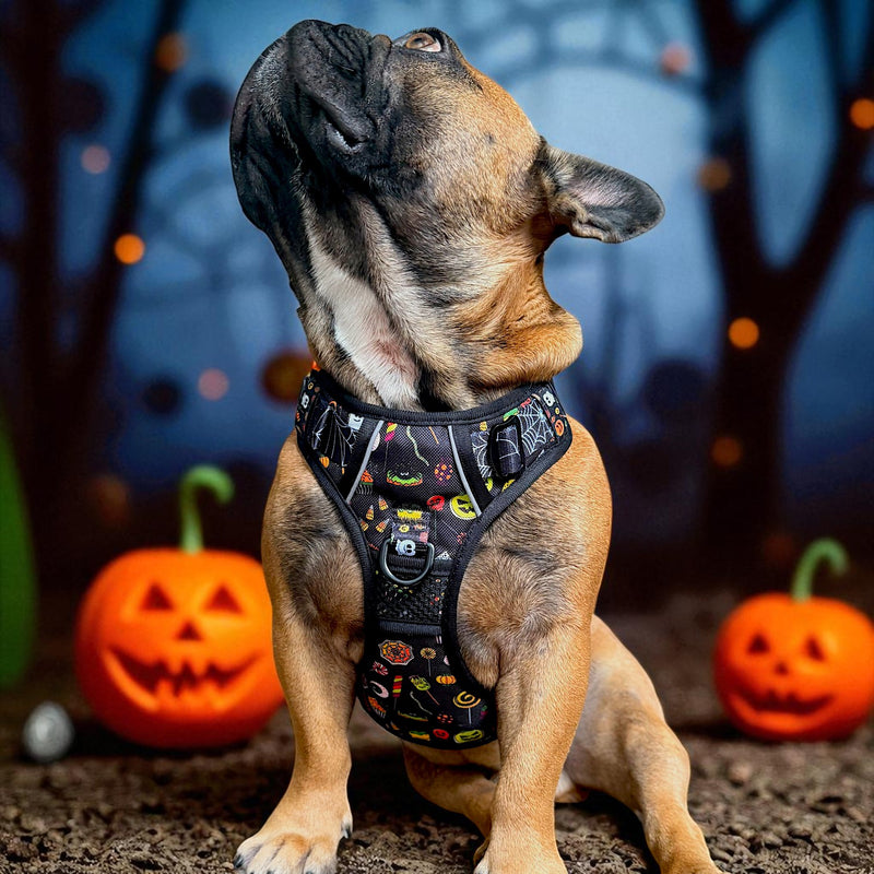 Trick or Treat No Pull Harness & Leash Bundle