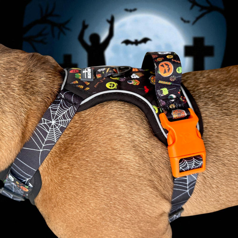 Trick or Treat No Pull Harness & Leash Bundle