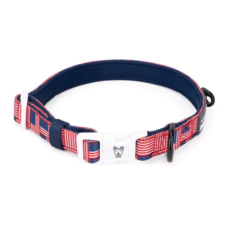 American Flag Dog Collar - Beast & Buckle