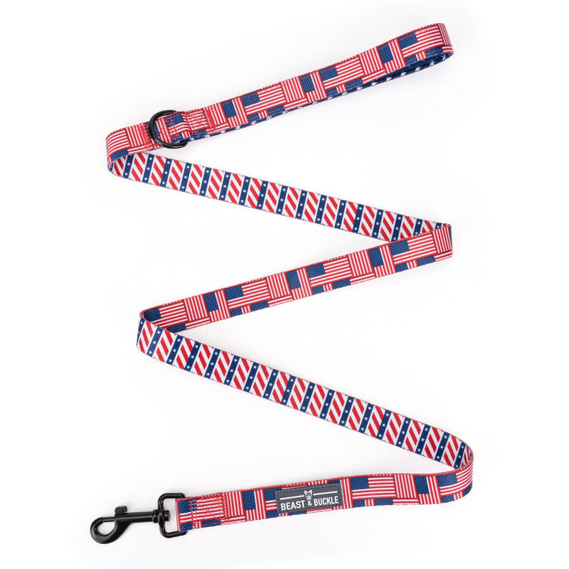 American Flag Dog Leash - Beast & Buckle