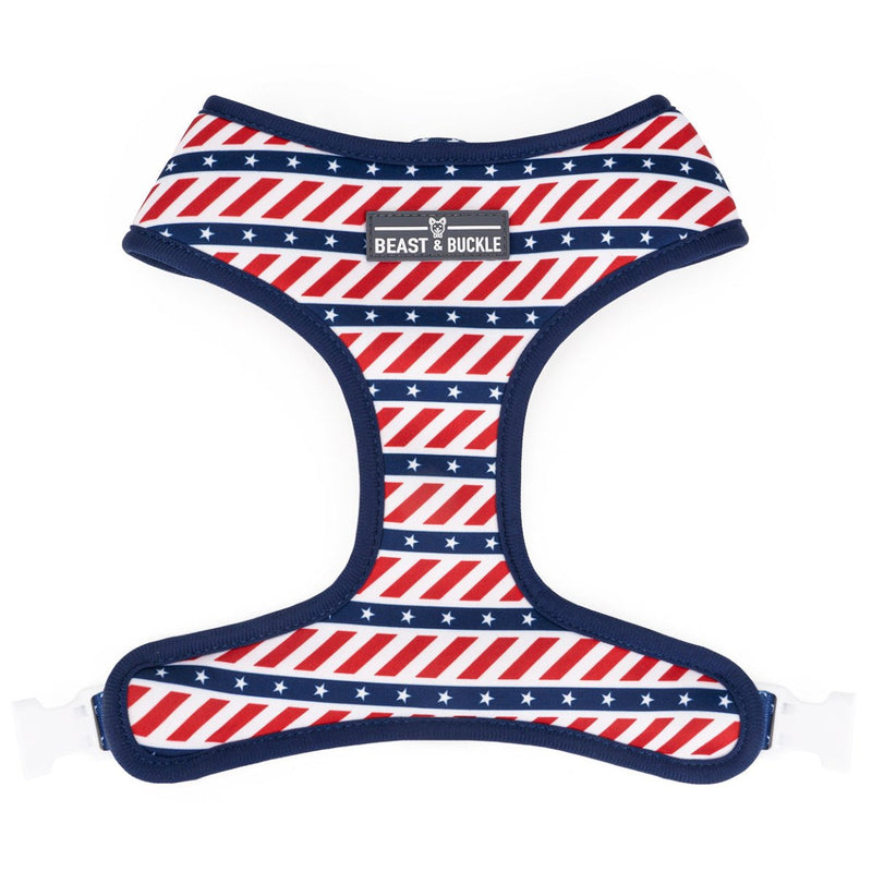 American Flag Harness and Leash Set - Beast & Buckle
