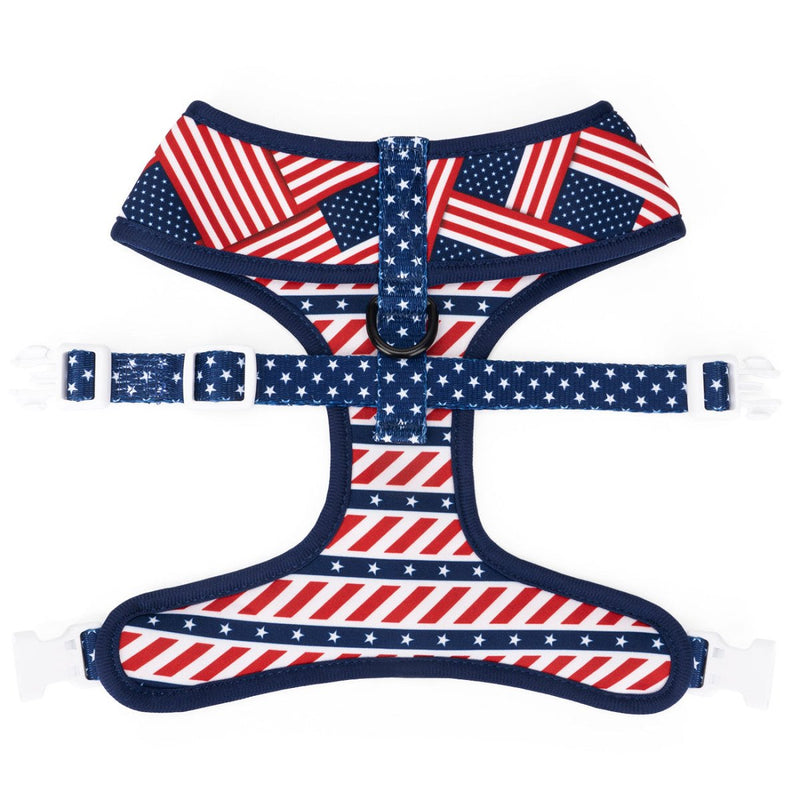 American Flag Harness and Leash Set - Beast & Buckle