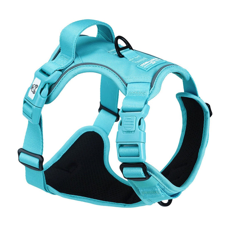 Aqua No Pull Harness Bundle - Beast & Buckle