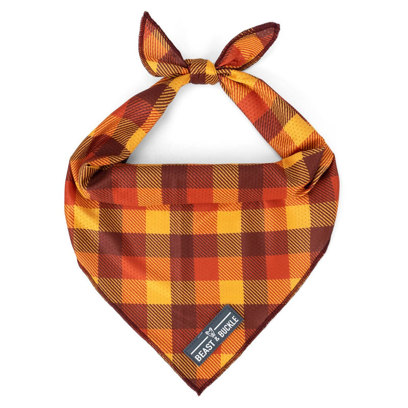 Autumn Vibes Cooling Dog Bandana - Beast & Buckle