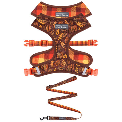 Autumn Vibes Harness and Leash Set - Beast & Buckle