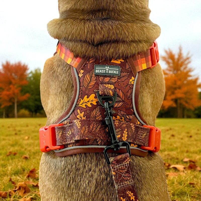 Autumn Vibes No Pull Harness & Leash Bundle - Beast & Buckle