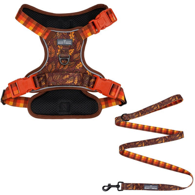Autumn Vibes No Pull Harness & Leash Bundle - Beast & Buckle
