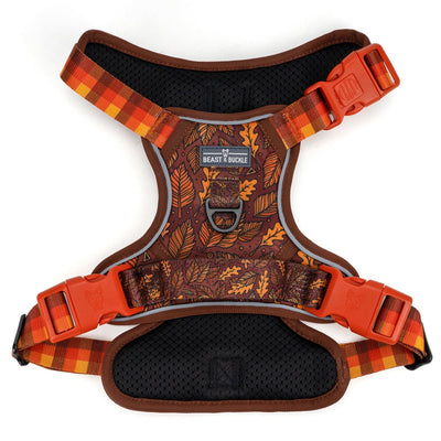 Autumn Vibes No Pull Harness & Leash Bundle - Beast & Buckle