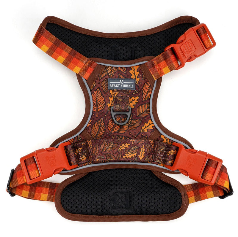 Autumn Vibes No Pull Harness & Leash Bundle - Beast & Buckle