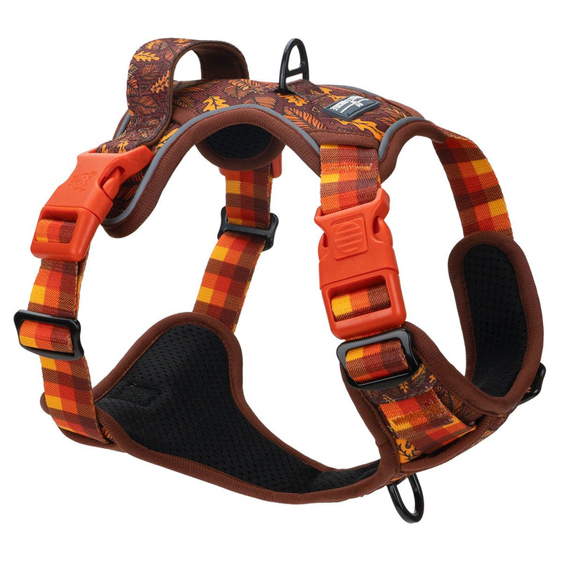Autumn Vibes No Pull Harness & Leash Bundle - Beast & Buckle