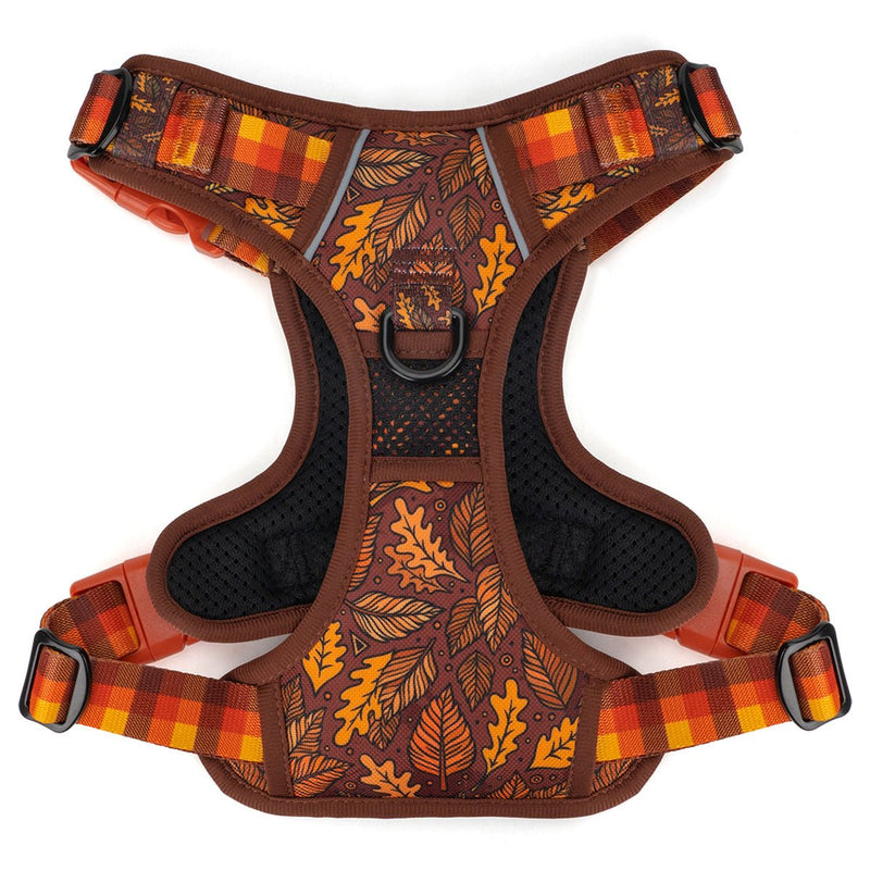 Autumn Vibes No Pull Harness & Leash Bundle - Beast & Buckle