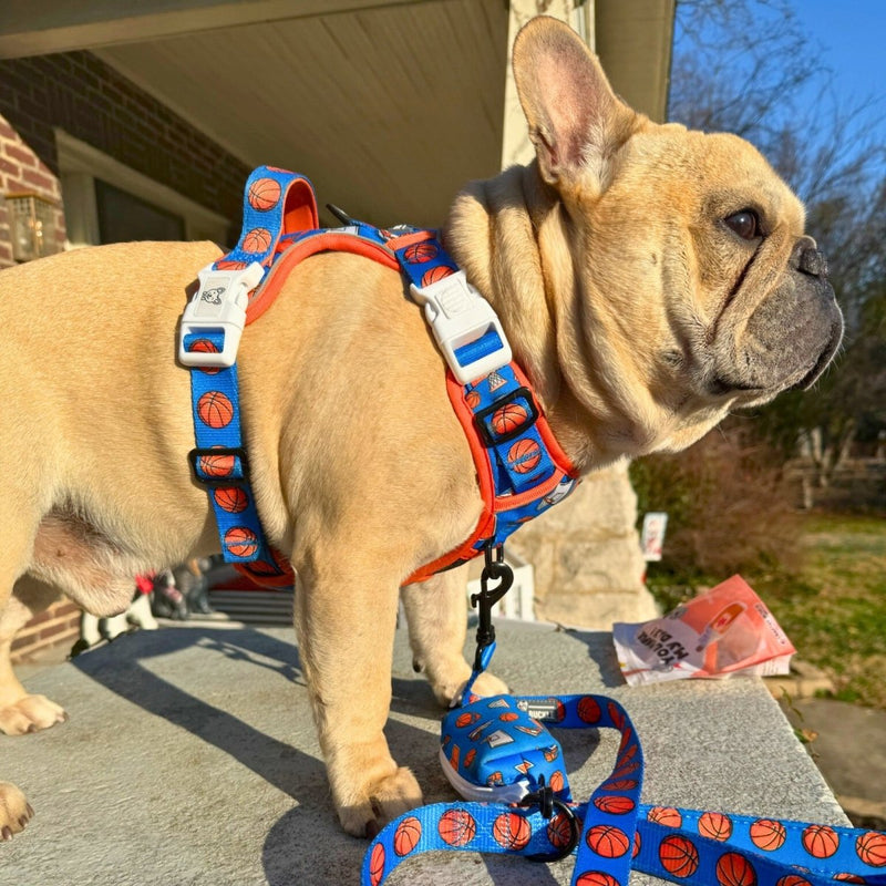 Basketball No Pull Dog Harness - Beast & Buckle