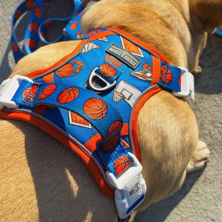 Basketball No Pull Dog Harness CLEARANCE – Beast Buckle