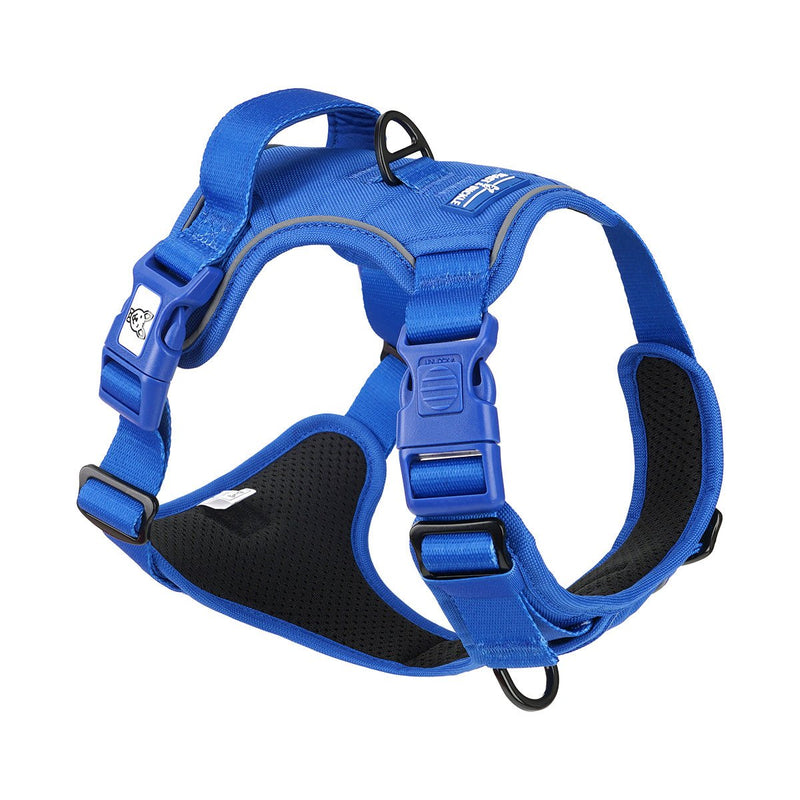 Blue No Pull Harness Bundle - Beast & Buckle