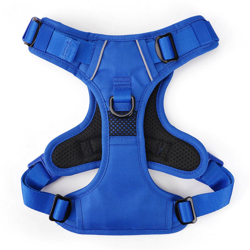 Blue No Pull Harness Bundle - Beast & Buckle