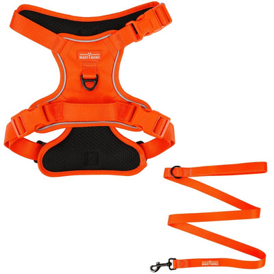 Bold Orange No Pull Harness & Leash Bundle - Beast & Buckle