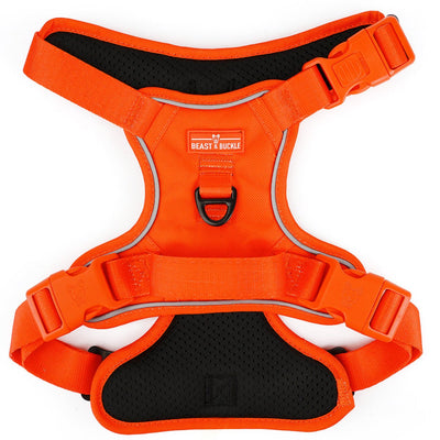 Bold Orange No Pull Harness & Leash Bundle - Beast & Buckle